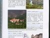 Programa-Ourense-6