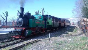 Trenes y ferrocarriles históricos